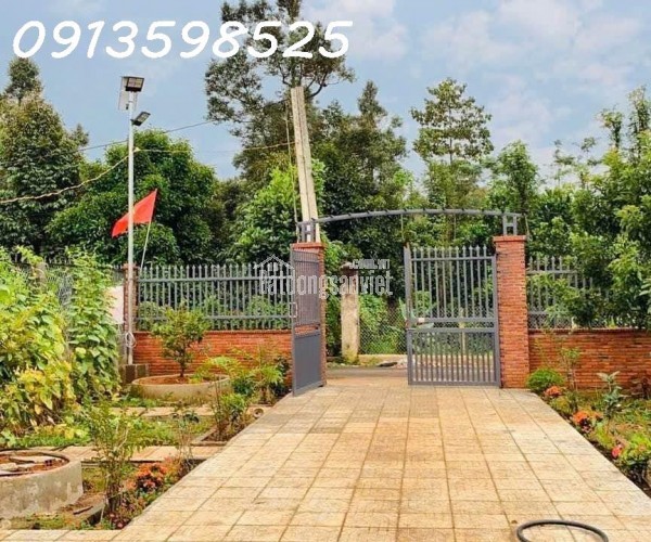 Bán nhà vườn 2000 m2, 290 tr, đường nhựa 12m