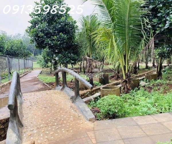 Bán nhà vườn 2000 m2, 290 tr, đường nhựa 12m