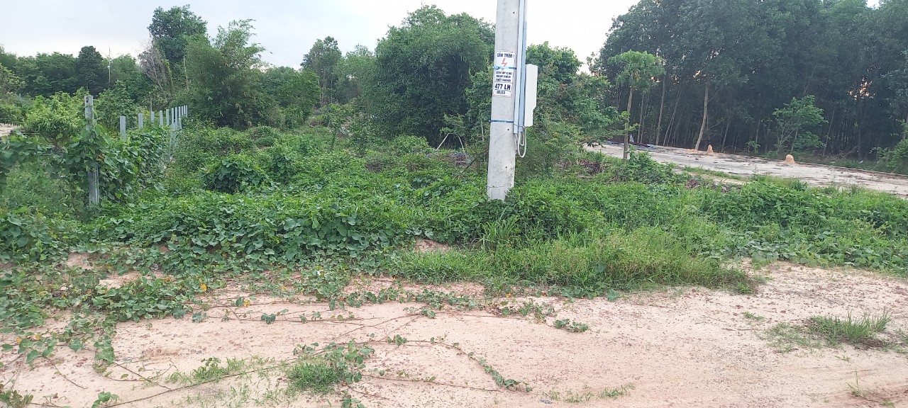 Bán đất mặt tiền Nguyễn Hữu Cảnh Xã Long Tân, gần Vành Đai 3