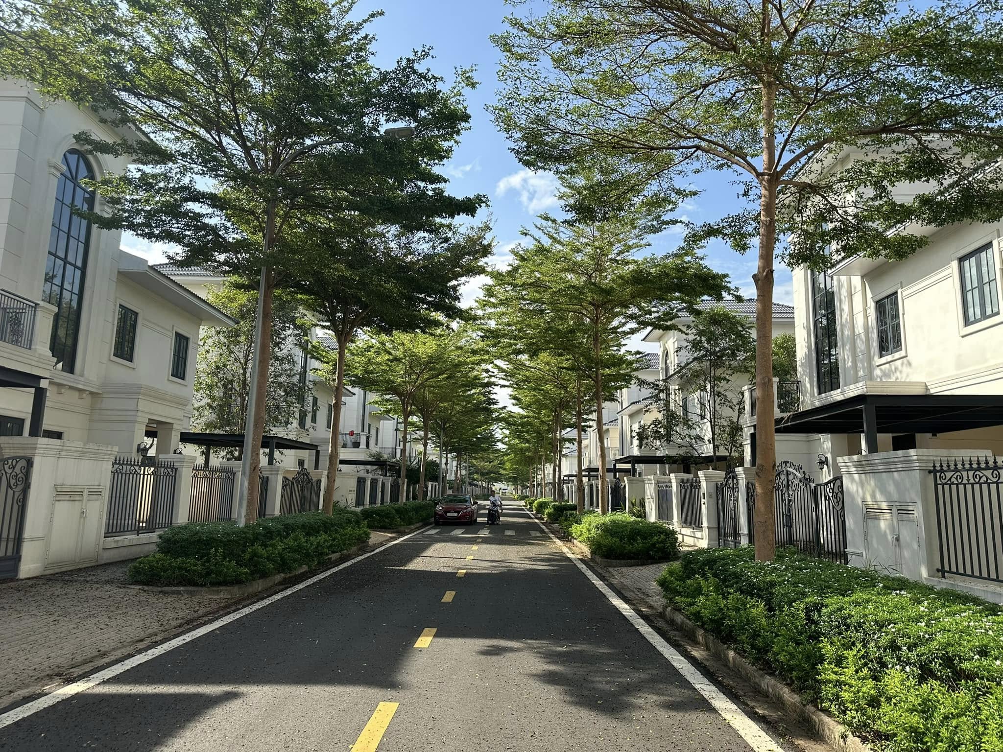 Giá mua bán nhà, biệt thự Swan Bay tháng 12/2025