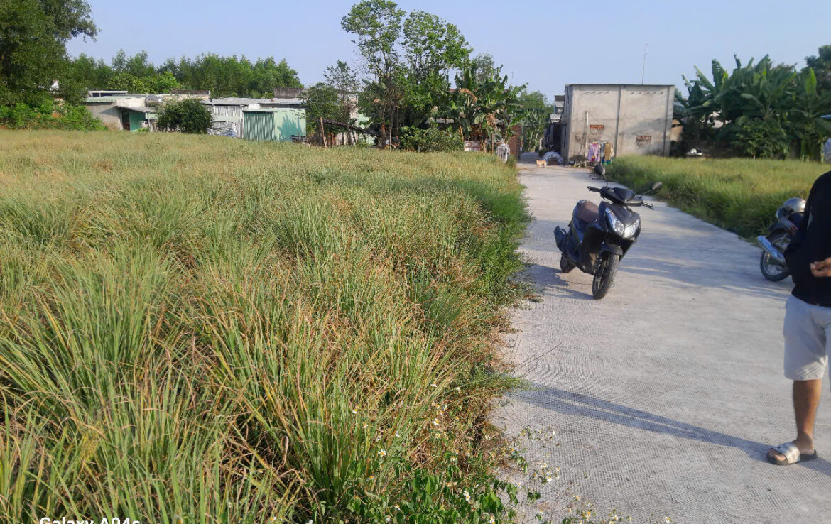 bán đất vườn có thổ cư nhơn trạch